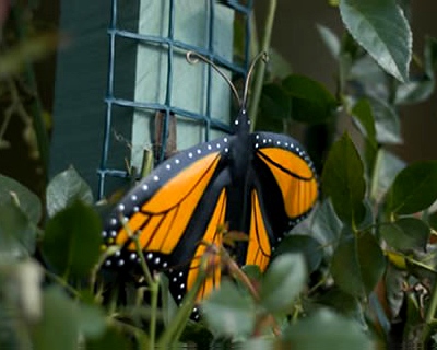Metal monarch butterfly