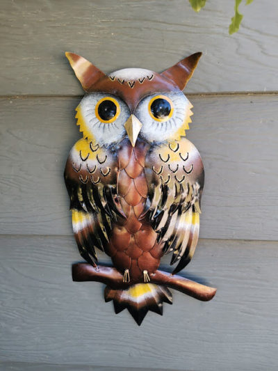 Brown Owl