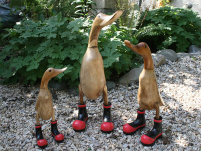 Ducks in Gumboots