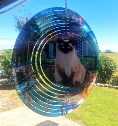 Cat Wind Spinner
